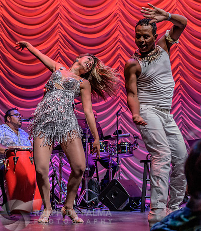 Havana Nights