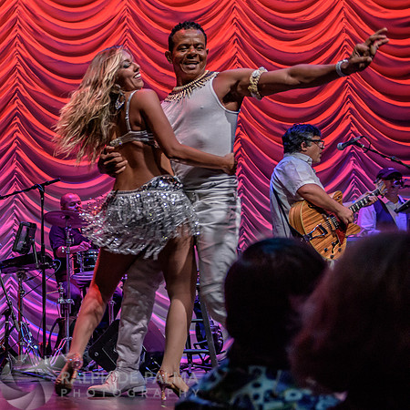 Havana Nights
