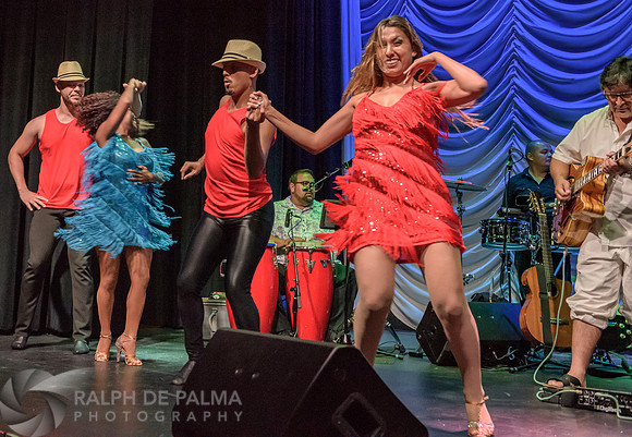 Havana Nights