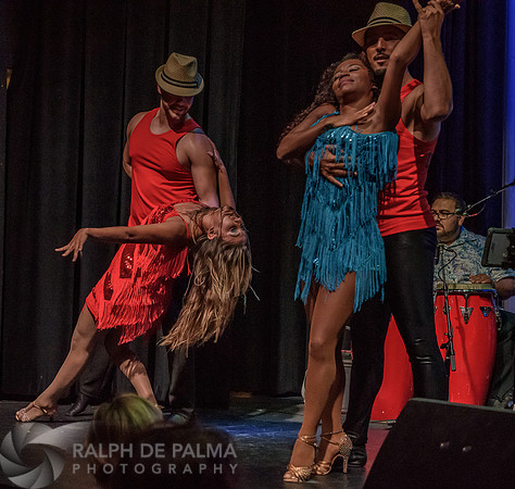 Havana Nights