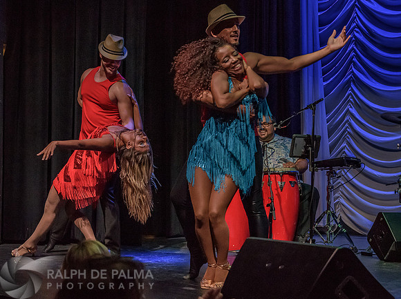 Havana Nights