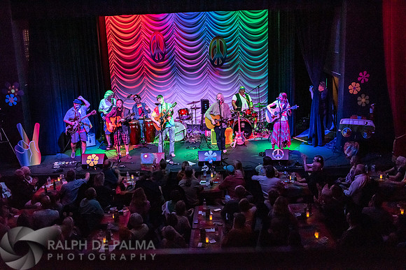 That Hippie Band