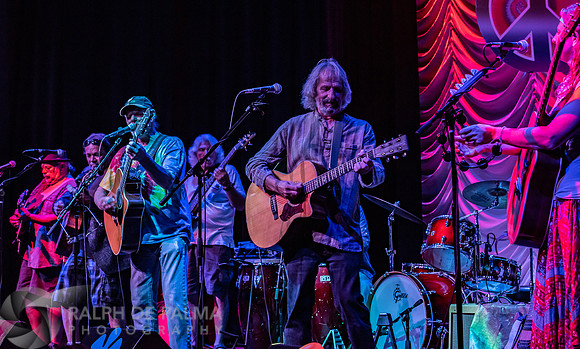 That Hippie Band