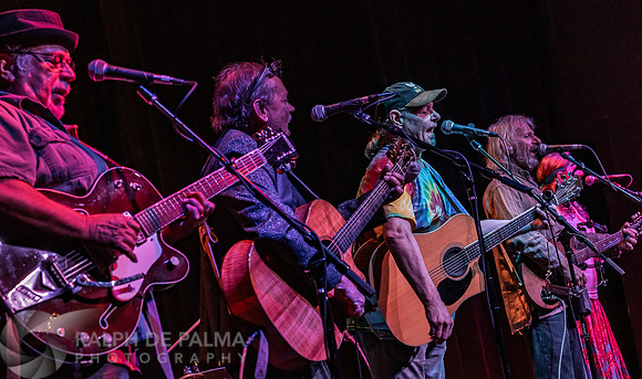 That Hippie Band