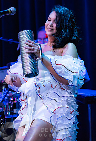 Havana Nights
