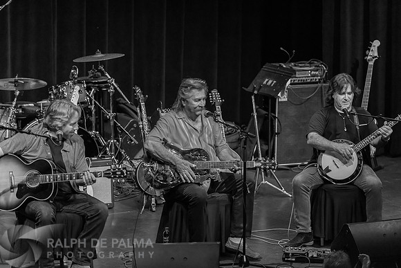 Guitars & Banjos