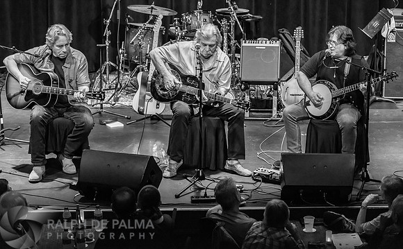 Guitars & Banjos
