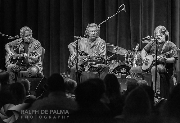 Guitars & Banjos