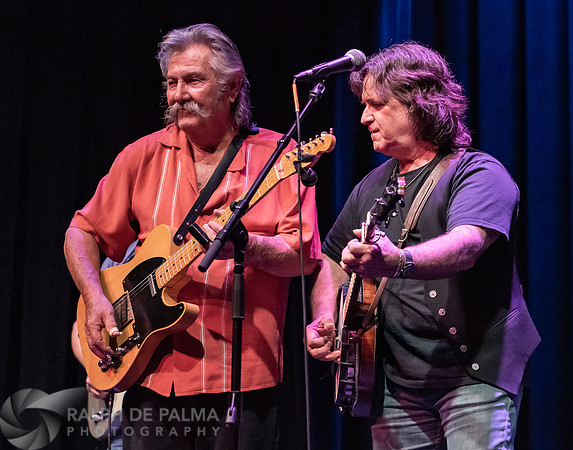 Guitars & Banjos