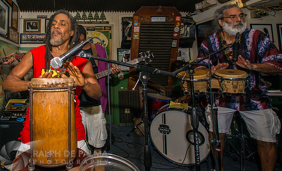 Bob Marley Tribute