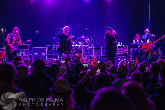 Three Dog Night