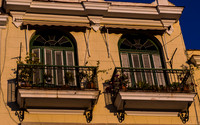 Havana