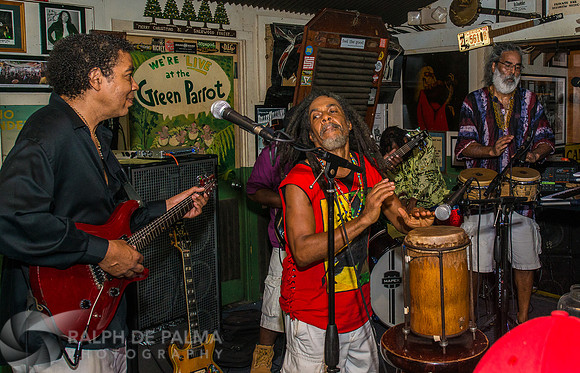 Bob Marley Tribute