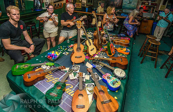 Ukelele Society