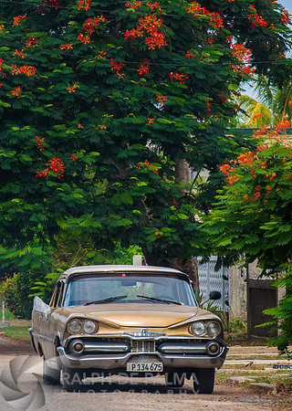 Cuban Cars