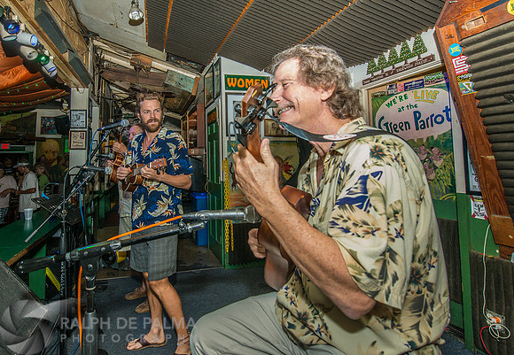 Ukelele Society