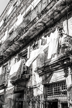 Havana