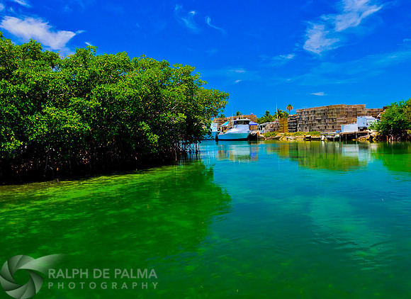 Stock Island 4