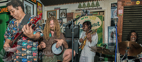 Bob Marley Tribute