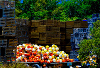 Stock Island 9