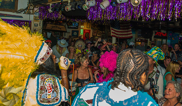 Wild Magnolias