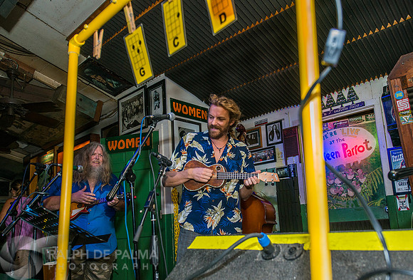 Ukelele Society