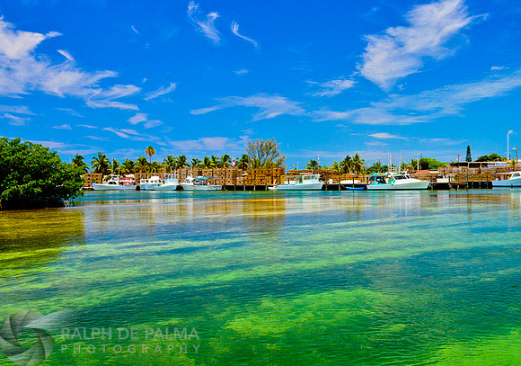 Stock Island 5