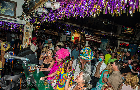 Wild Magnolias