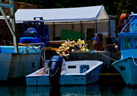 Stock Island 2