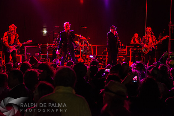 Three Dog Night